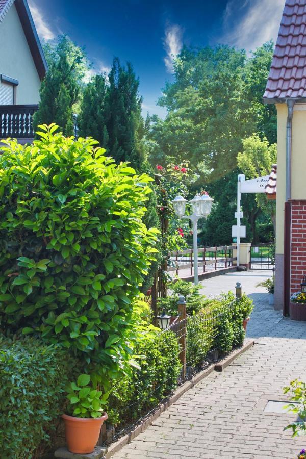 Pension Luisenhof Tangermuende Ngoại thất bức ảnh
